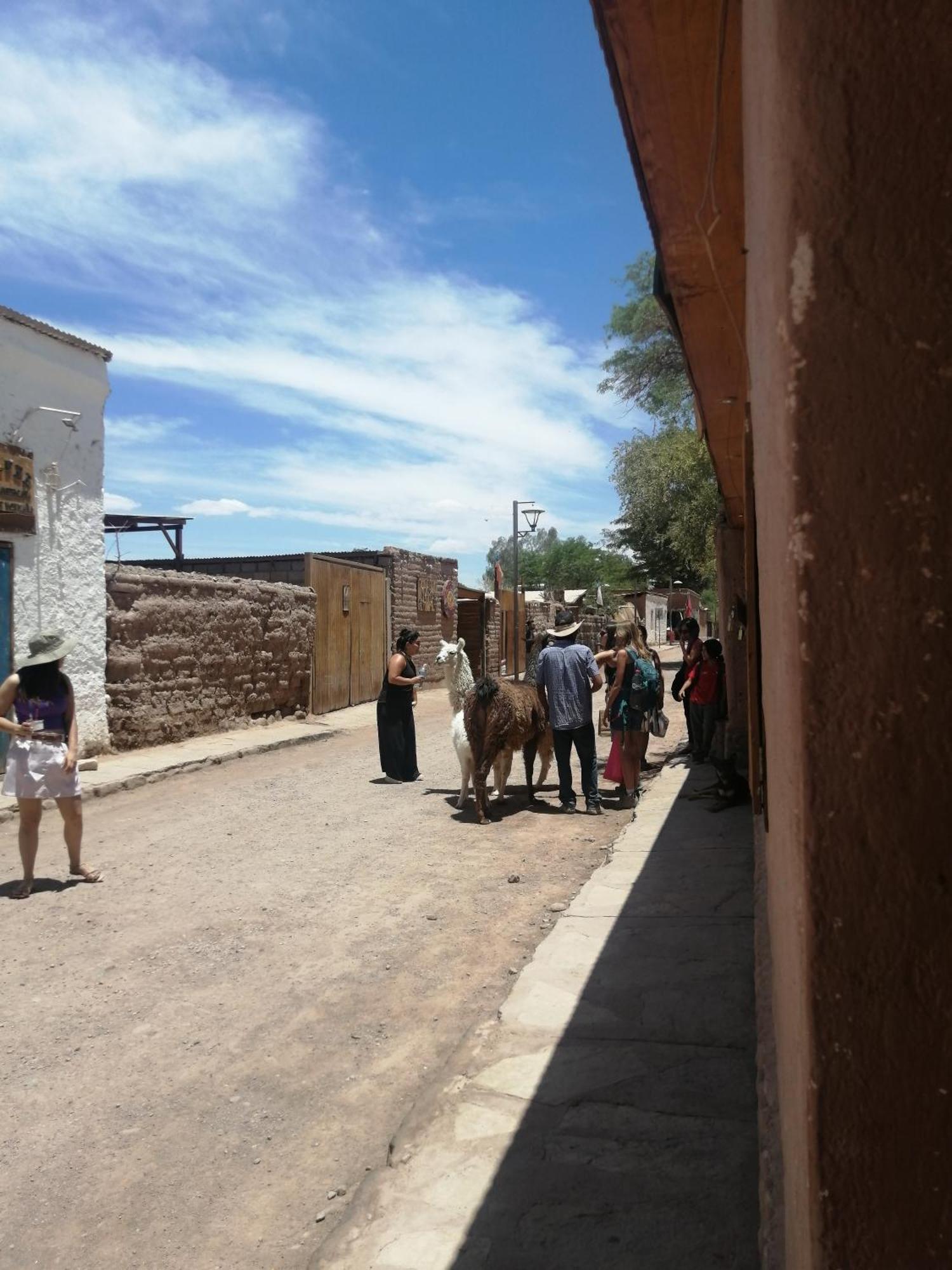 Viajes & Vida Km0 Leilighet San Pedro de Atacama Eksteriør bilde